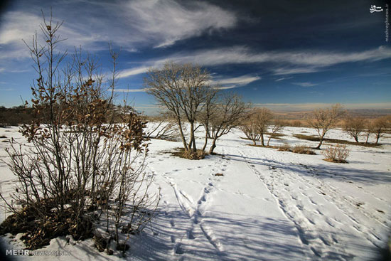 عکس/ طبیعت زمستانی رومشگان