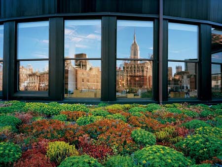 یک باغچه پشت بامی در شهر نیویورک