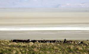 خشک‌ شدن دریاچه ارومیه ,احیای دریاچه ارومیه