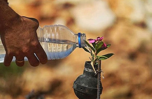 کاشت گل در بمب‌های اسرائیلی +عکس