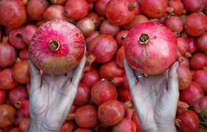 نرخ انواع میوه در مغازه‌های تهران؛انار كیلویی ٣٥٠٠ و پرتقال ٢٩٠٠ تومان
