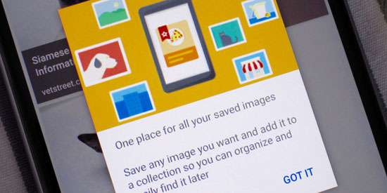 قابلیت جدید جستجوی موبایلی گوگل اجازه ذخیره و مرتب کردن تصاویر را می‌دهد