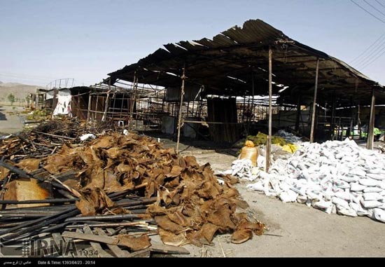 آتش سوزی در بازار گل تهران (عکس)