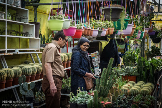 عکس: بازار گل تهران در آستانه سال نو