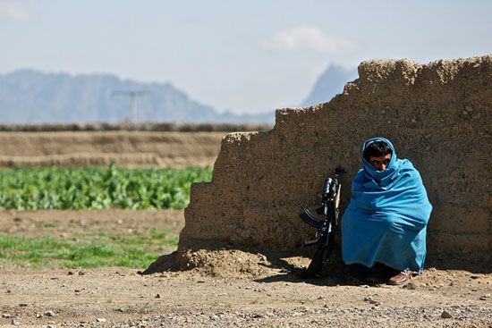 جنگ تریاک در افغانستان