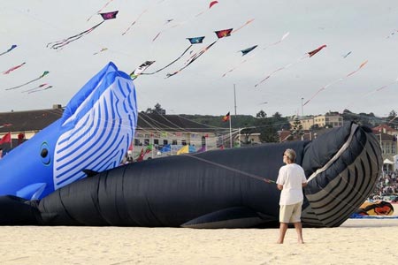 فستیوال ساحلی در سیدنی