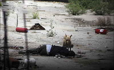 اخبار,اخباربین الملل,قربانیان تروریسم در سوریه