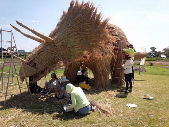 حمله مجسمه های غول آسا به مزرعه برنج