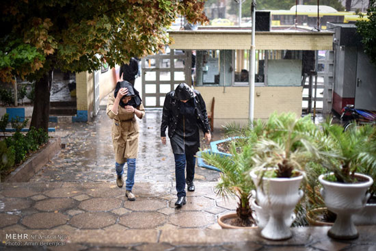 عکس: بارش باران و آبگرفتگی معابر در شیراز