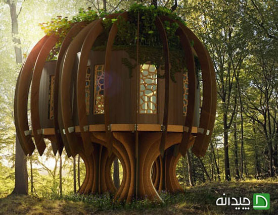 آرامش در اولین خانه درختی کامل جهان