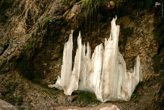 عکس/ طبیعت زمستانی آبشار سردابه