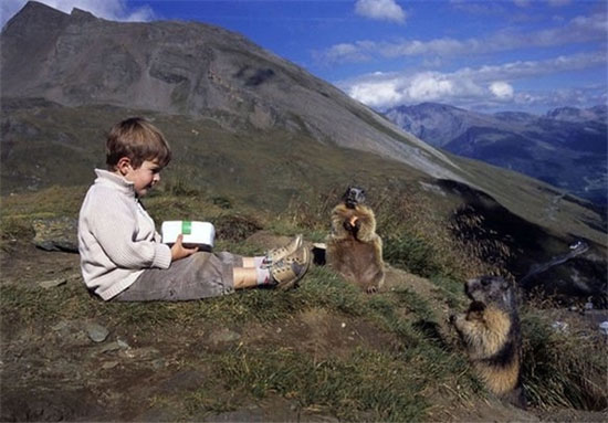 دوستی سنجاب‌های کوه‌های آلپ با پسربچه اتریشی+ عکس