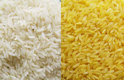 راهنمای خرید برنج مرغوب, نکاتی برای خرید برنج خوب