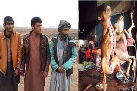 اخبار,اخبارحوادث,فروش گوشت سگ در شهر هرات