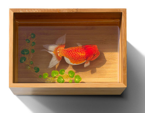 ماهی‌های واقعی یا نقاشی سه بعدی؟