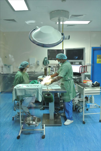 مجراجویی در بزرگترین بیمارستان شاهین در ابوظبی