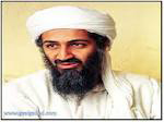 عبدالفاتح,همر بن لادن,عکس همسر بن لادن,همسر رهبر القاعده,همسر رهبر القاعده,عکسهای همسران بن لادن,اخبار سیاسی 