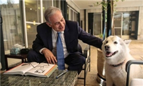 سگ نتانیاهو دو مقام اسرائیلی را گاز گرفت