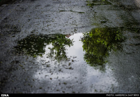 تصاویری از بارش باران بهاری در تهران