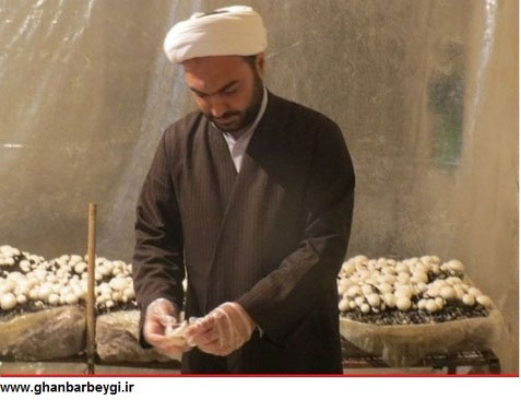 پرورش قارچ توسط یک امام‌ جمعه +عکس