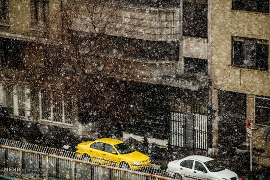 بارش اولین برف زمستانی در تهران +عکس
