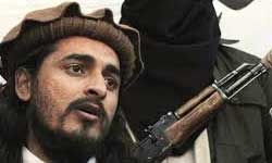 رهبر جدید طالبان پاکستان,حکیم‌الله محسود