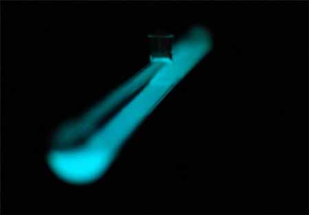 اخبار,اخبار علمی,تولید روشنایی با باکتری‌های درخشنده