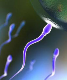 اسپرم‌,افزایش اسپرم,علت آسیب‌دیدگی اسپرم