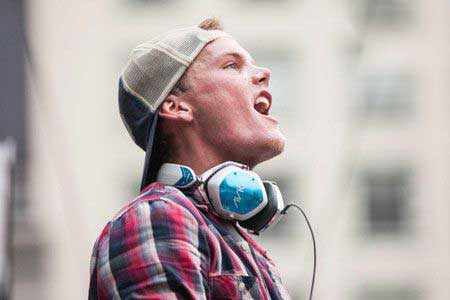 پردرآمدترین DJ های سال 2013,دِد ماوس