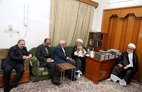 عکس: دیدار ظریف با مراجع نجف