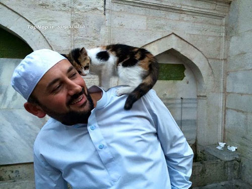 نماز و عبادت در مسجد و در کنار گربه ها !!