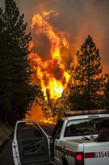 آتش سوزی جنگل های کالیفرنیا