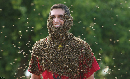 مسابقات زنبورداری, زنبورداری,نهمین مسابقات زنبورداری
