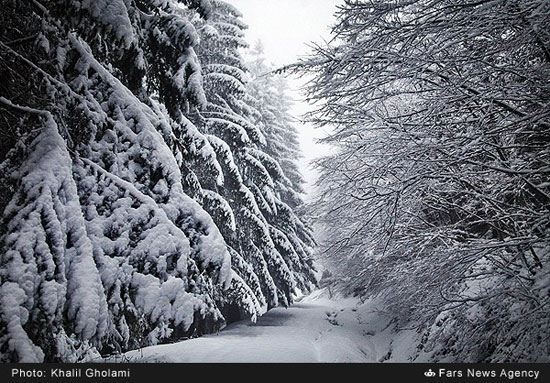 طبیعت زمستانی جاده خلخال به اسالم