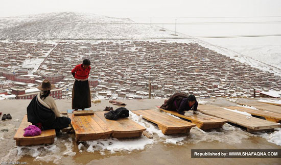 یک روز در سرزمین راز آلود تبت +عکس