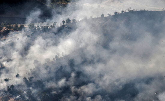 150هکتار جنگل‌ در مریوان آتش‌ گرفت + عکس