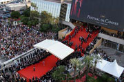 بازار فیلم جشنواره كن امسال با رشد ۵ درصدی مواجهه شد