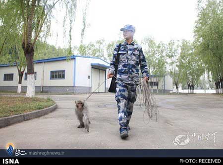 اخبار,اخبار بین الملل ,نیروی هوایی ارتش چین