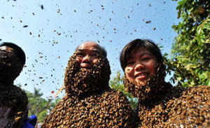 زندگی زوج چینی با میلیون ها زنبور