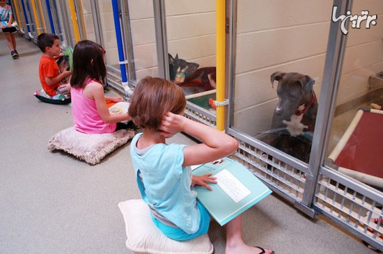 تمرین مهارت های خواندن در پناهگاه سگها!