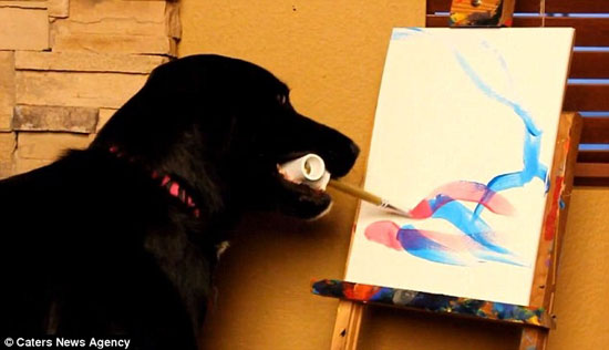 عکس: نقاشی های خارق العاده یک سگ