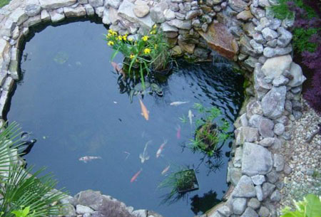 نگهداری ماهی,طراحی حوض های شیک