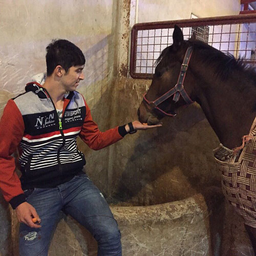 عکس: هویج دادن سردار به اسب خوشگلش