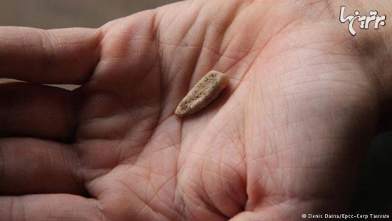 کشف دندان انسانی ۵۶۰ هزار ساله در جنوب فرانسه
