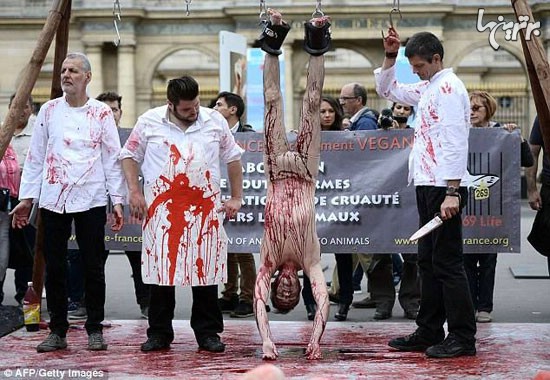 تظاهرات نمایشی مدافعان حیوانات در پاریس