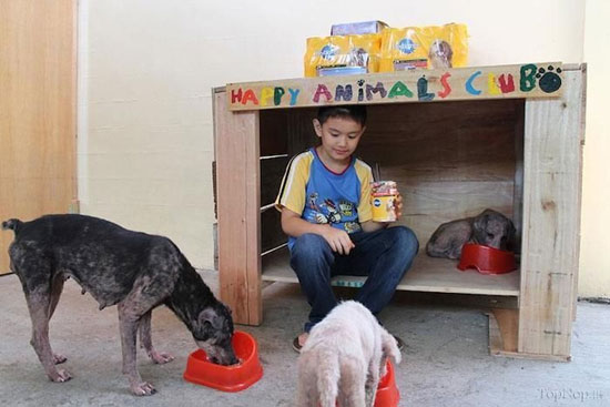 پسری 9 ساله که ناجی حیوانات بی خانمان شد +عکس