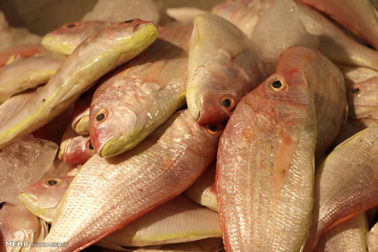 بازار ماهی فروشان آبادان