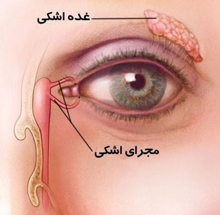 حقایقی درباره اشک ها