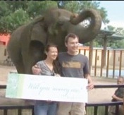 درخواست ازدواج با کمک یک فیل 