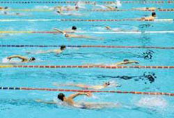 شنا,فواید شنا,ورزش شنا